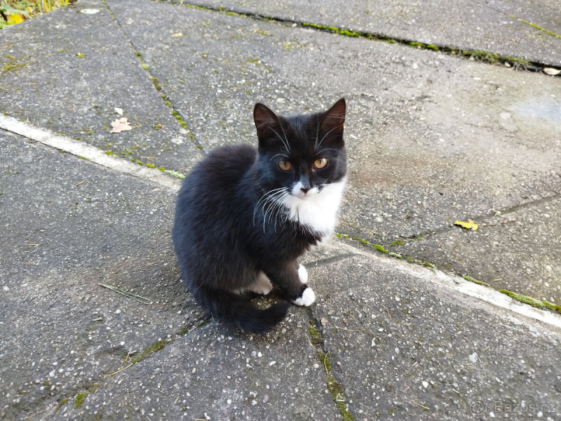 6. 9. Náměšť na Hané