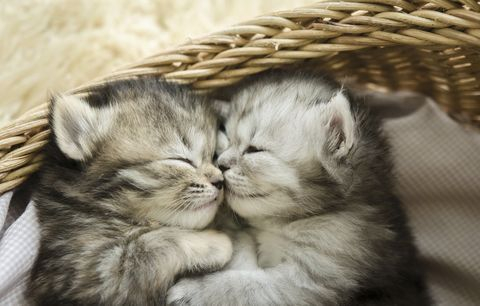 6. 9. Náměšť na Hané