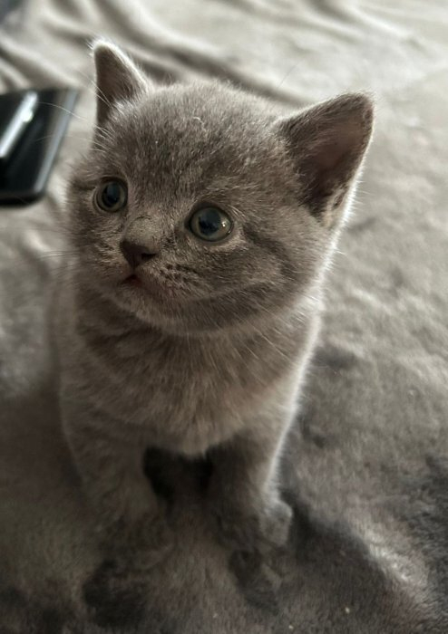 6. 9. Náměšť na Hané